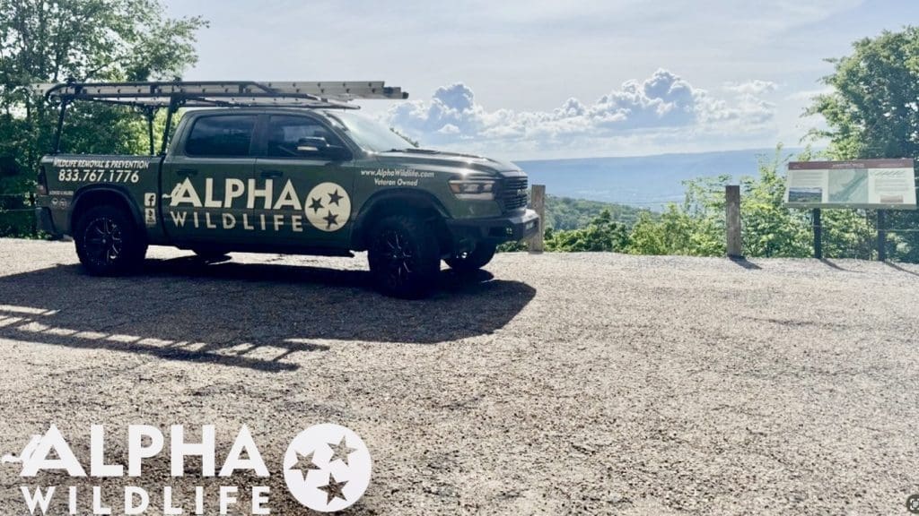 Alpha Wildlife truck in Columbia SC